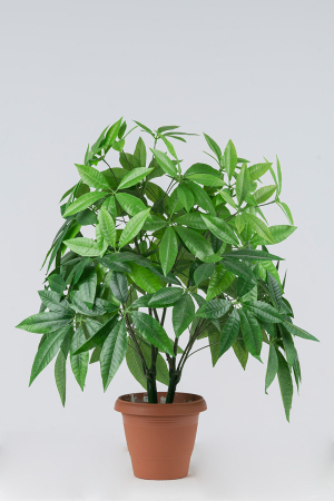 Fortune Tree 0,90 μ