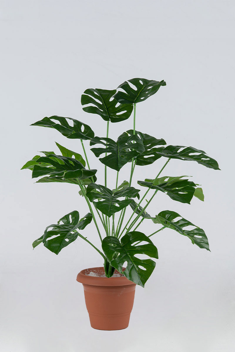 Τεχνητά Φυτά Προυντζόπουλος - Σχιστόφυλλο Φυτό x 18 Φύλλα 0,75 μ
