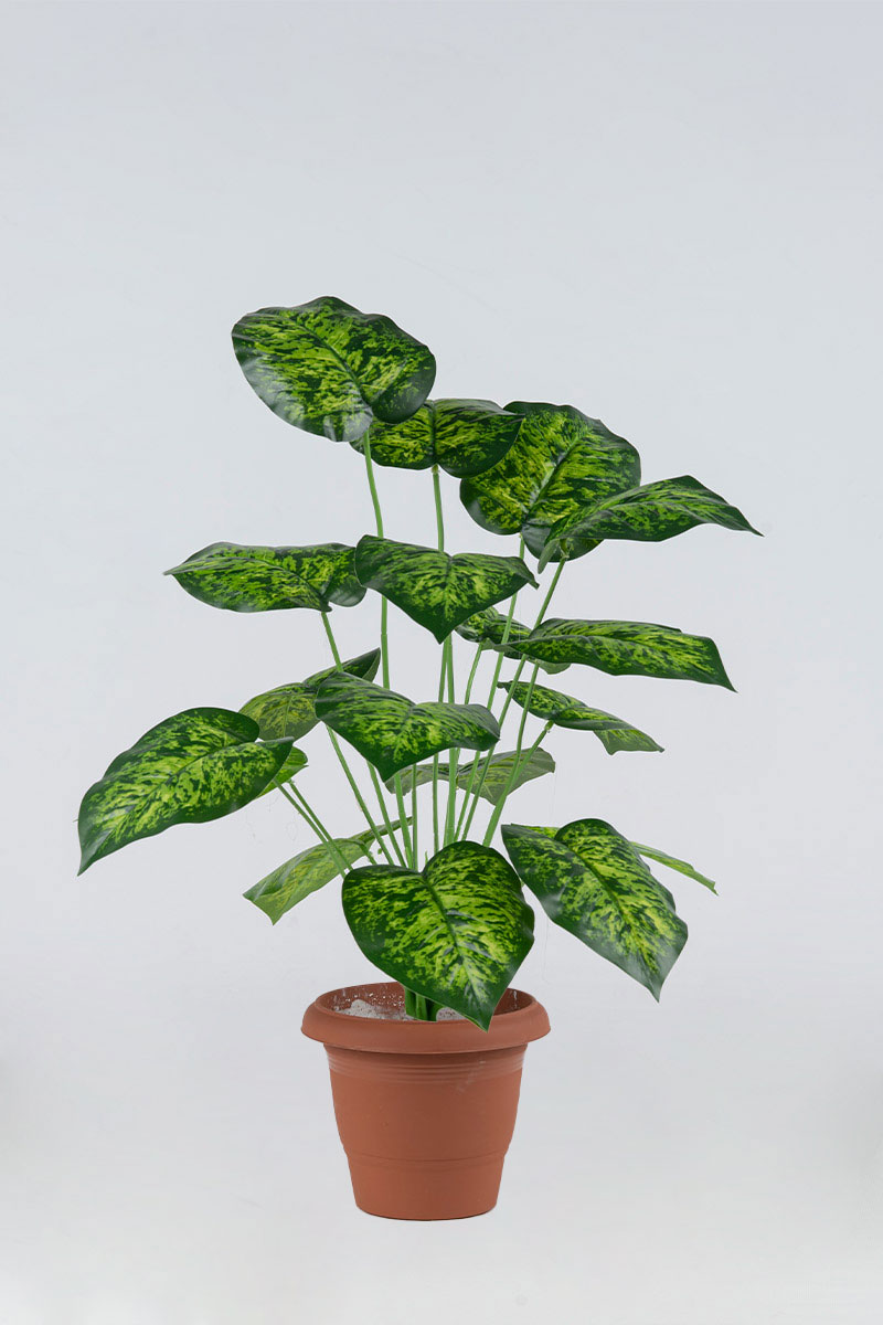 Τεχνητά Φυτά Προυντζόπουλος - Nτιφενμπάχια Φυτό x 18 Φύλλα 0,75 μ