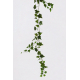 Γιρλάντα Κισσός Πράσινο x 98 Φύλλα 1,70 μ