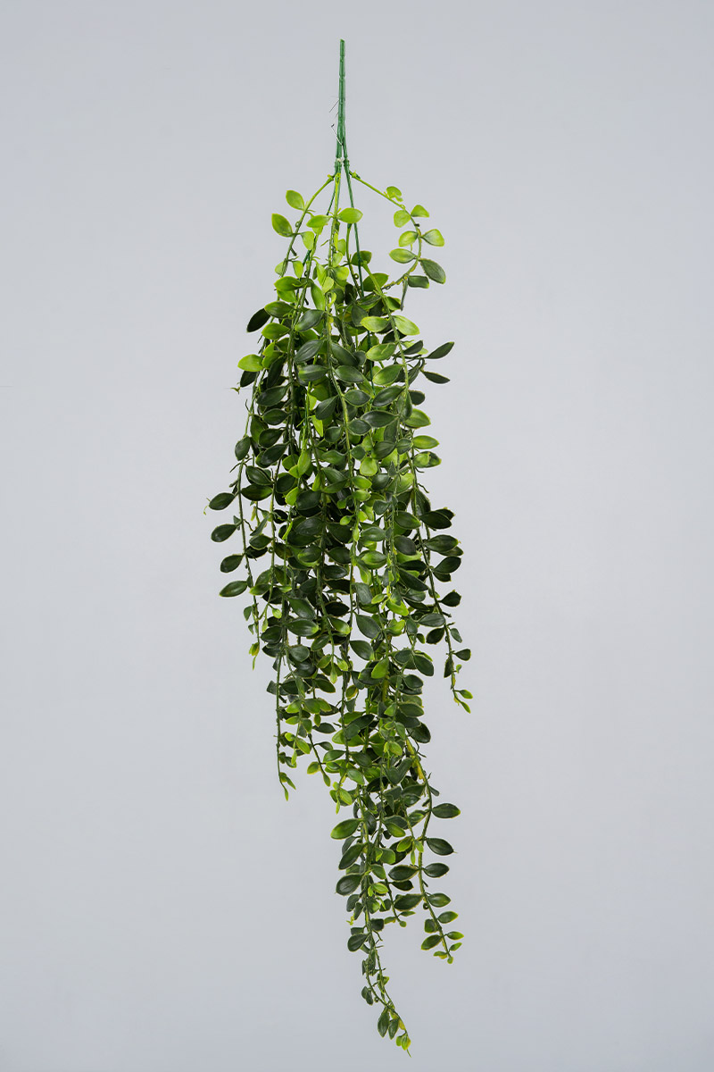 Τεχνητά Φυτά Προυντζόπουλος - Κρεμαστό Mini Tea Leaf 0,90 μ