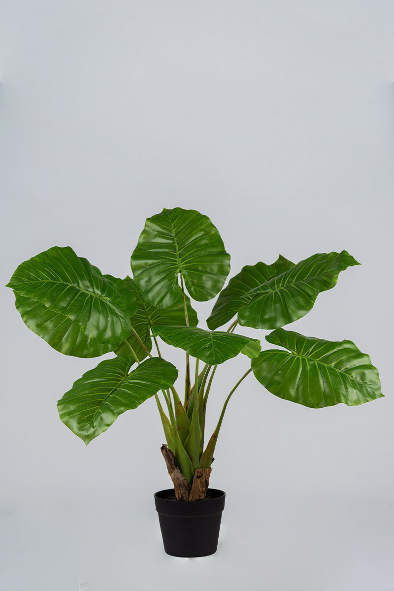Τεχνητά Φυτά Προυντζόπουλος - Συγκόνιουμ Φυτό x 9 Φύλλα 0,80 μ