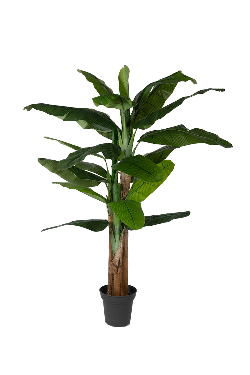 Τεχνητά Φυτά - Μπανανιά x 3 2,00 μ