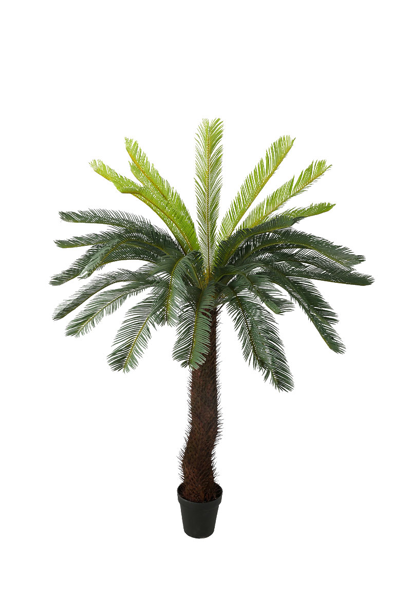 Τεχνητά Φυτά - Τσίκας 2,50 μ