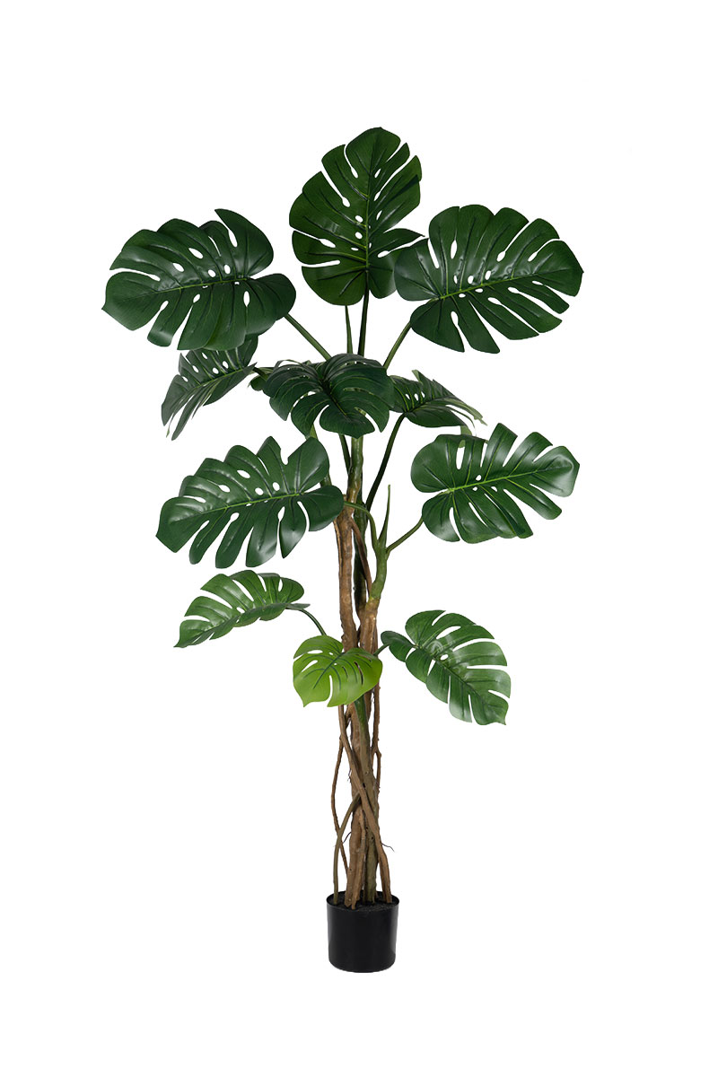 Τεχνητά Φυτά - Μονστέρα 1,80 μ REAL TOUCH