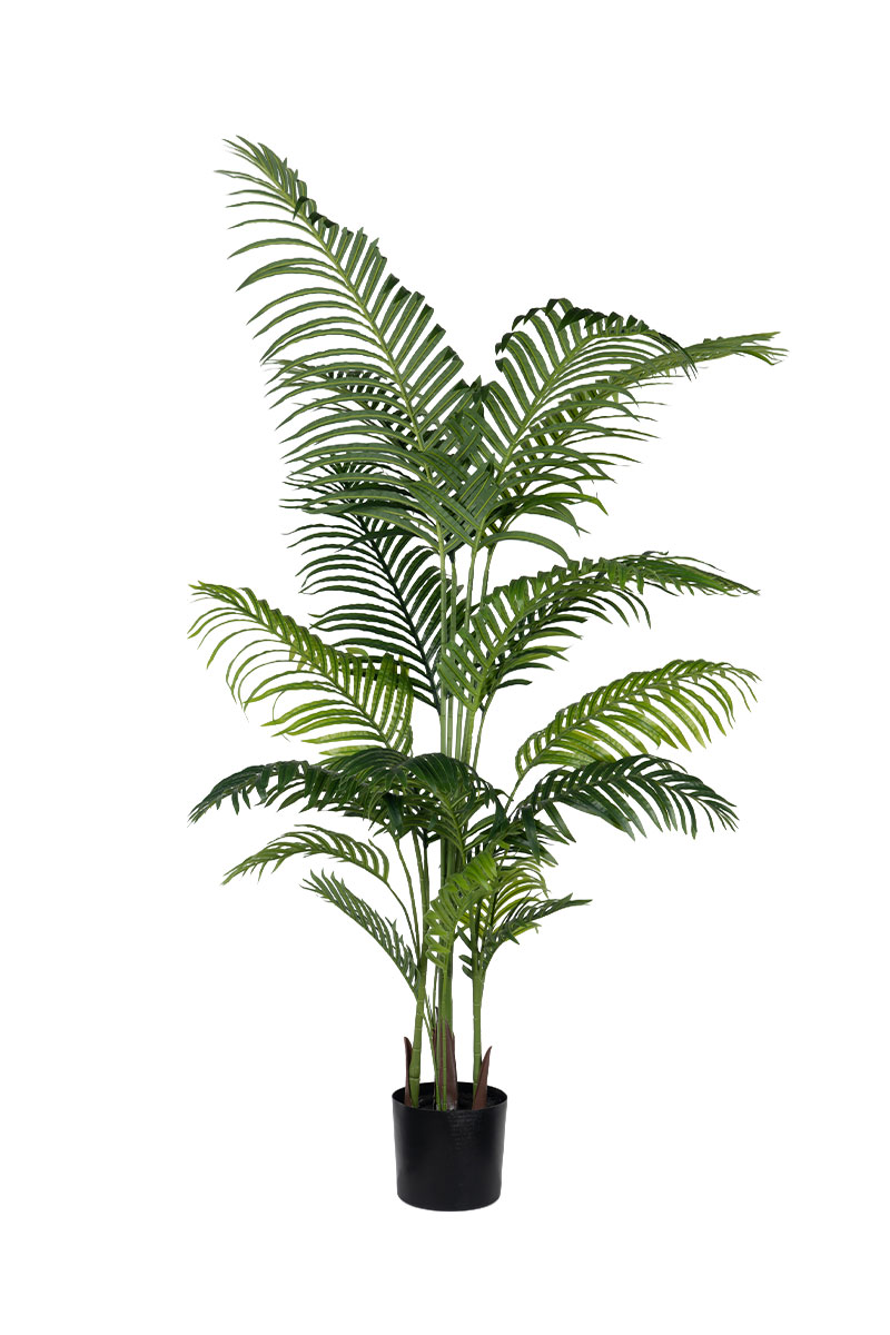 Τεχνητά Φυτά - Αρέκα 1,80 μ REAL TOUCH