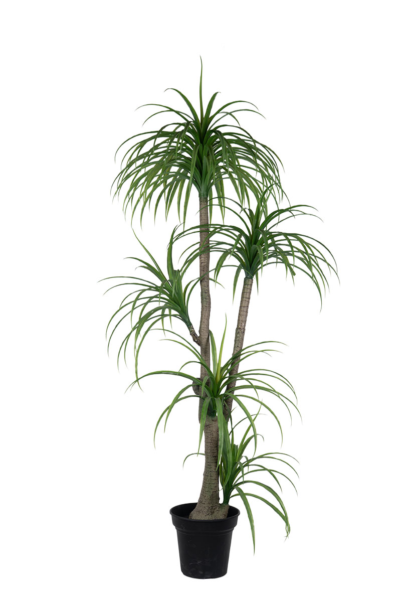 Τεχνητά Φυτά - Δράκαινα 1,80 μ