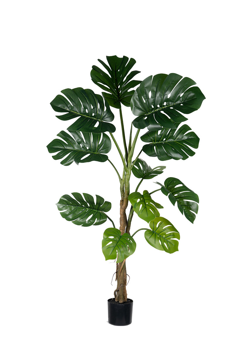 Τεχνητά Φυτά - Μονστέρα 1,40 μ REAL TOUCH