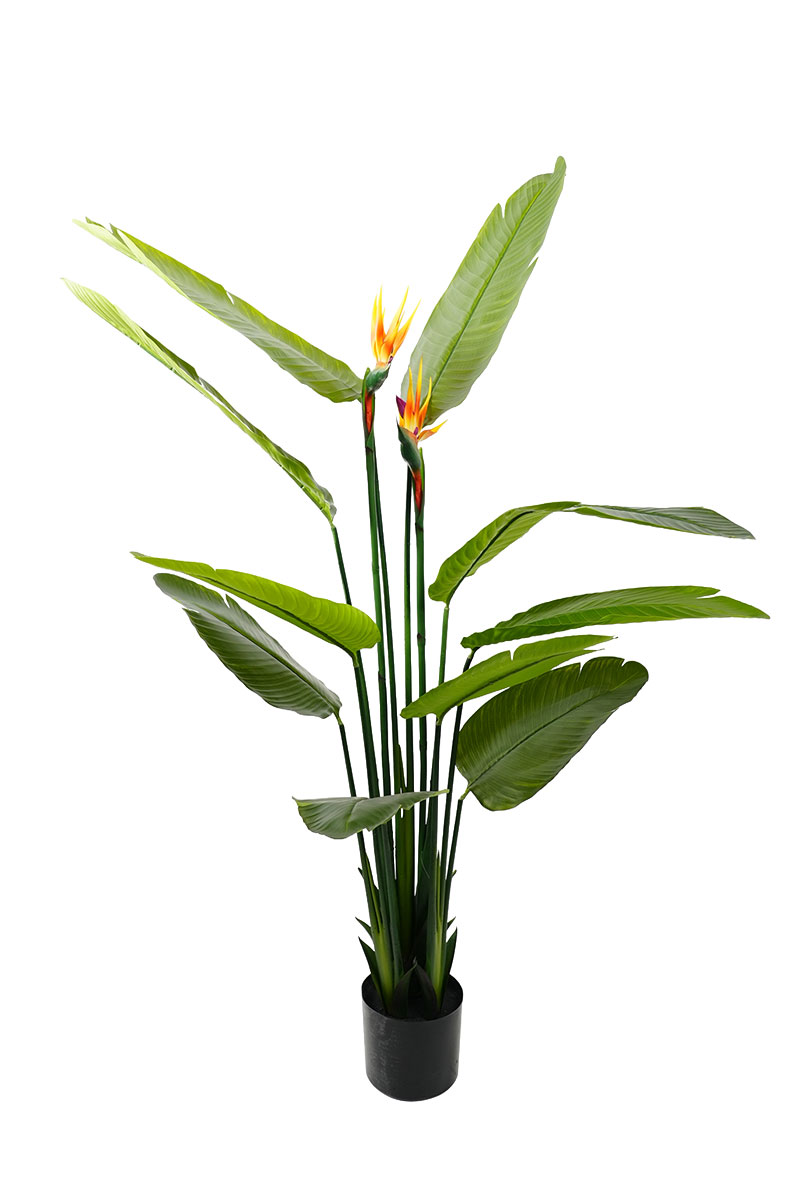 Τεχνητά Φυτά - Στερλίτσια 1,60 μ