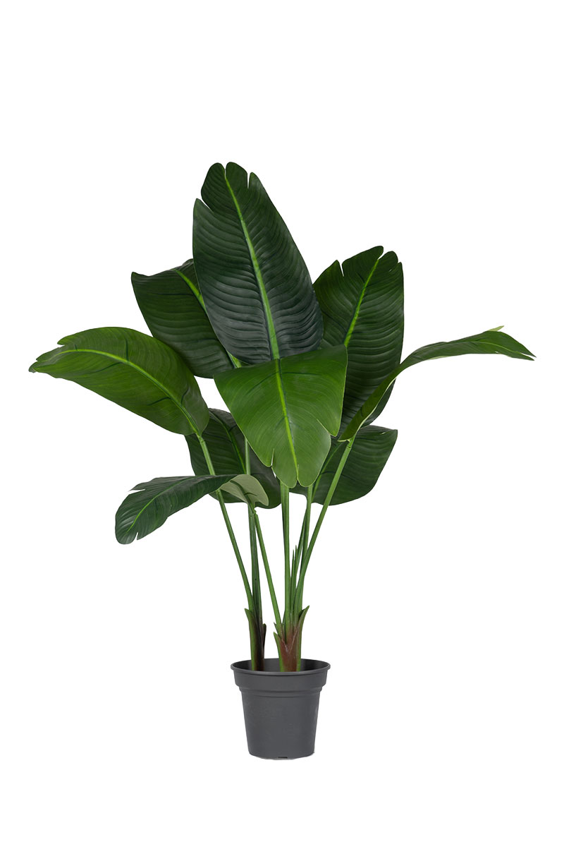 Τεχνητά Φυτά - Στερλίτσια 1,10 μ