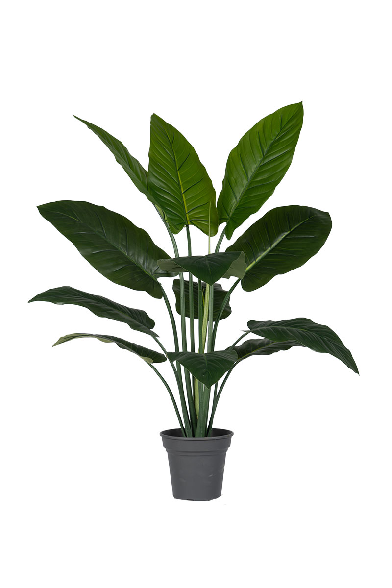 Τεχνητά Φυτά - Φυλλόδεντρο 1,00 μ