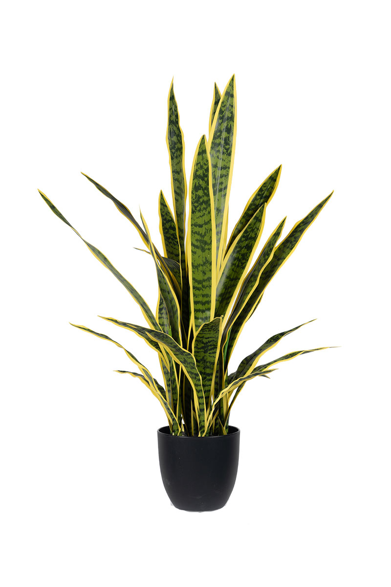 Τεχνητά Φυτά - Ζανζιβέρια 0,90 μ