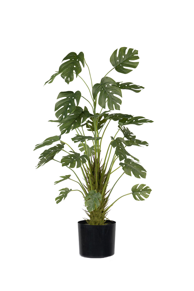 Τεχνητά Φυτά - Σχιστόφυλλο Φυτό 0,90 μ