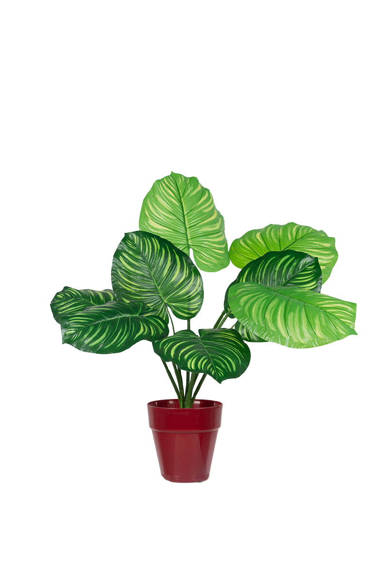 Τεχνητά Φυτά - Καλαθέα 0,55 μ